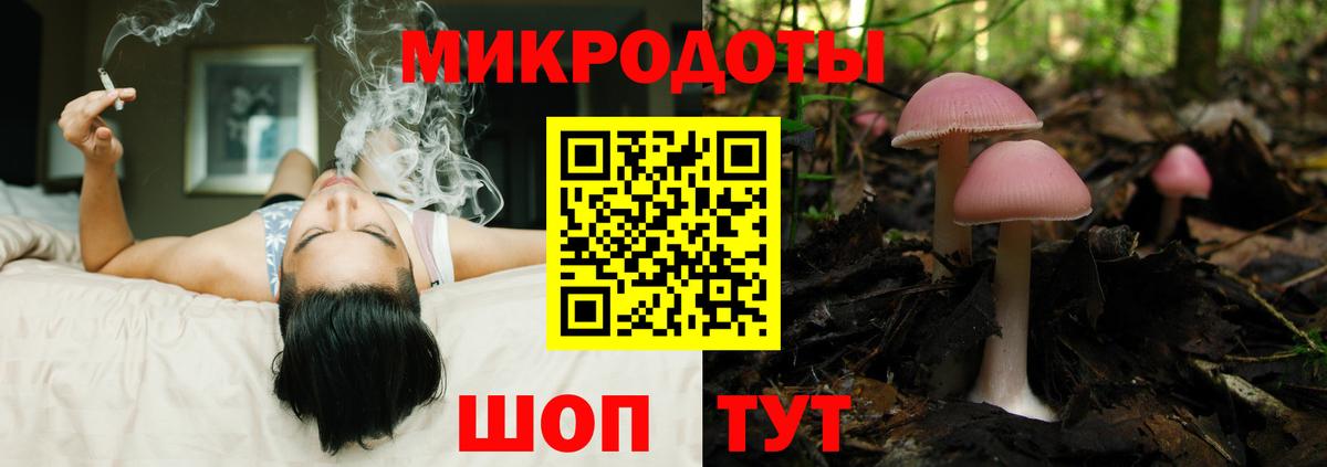 как найти закладки  Галлюциногенные грибы MAGIC MUSHROOMS  Красноармейск  Вход с VPN  Псилоцибиновые грибы GOLDEN TEACHER 